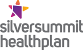 SilverSummit